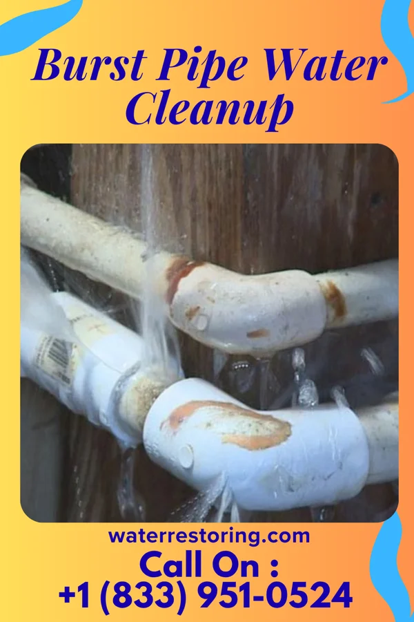 Burst Pipe Water Cleanup in Plano, IL