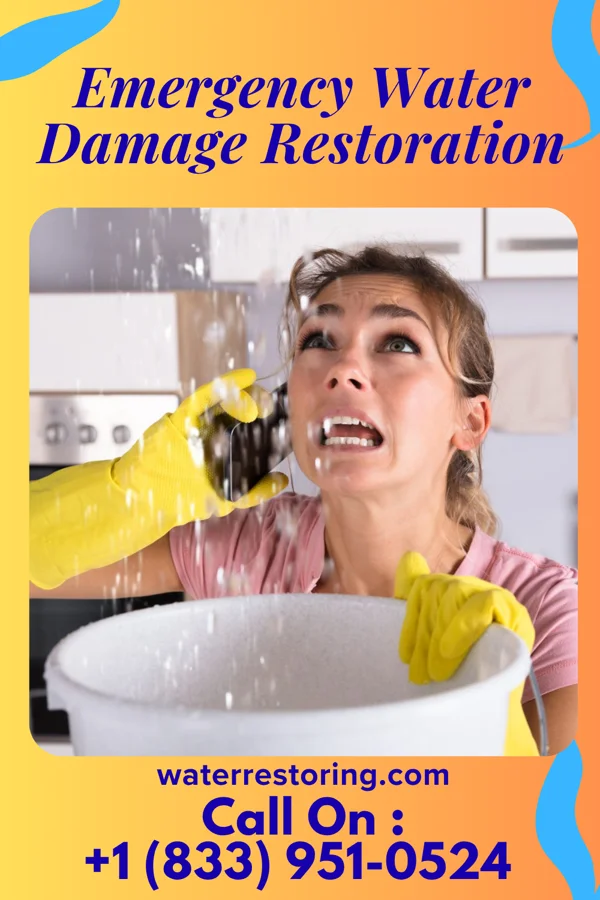 Emergency Water Damage Restoration in Plano, IL