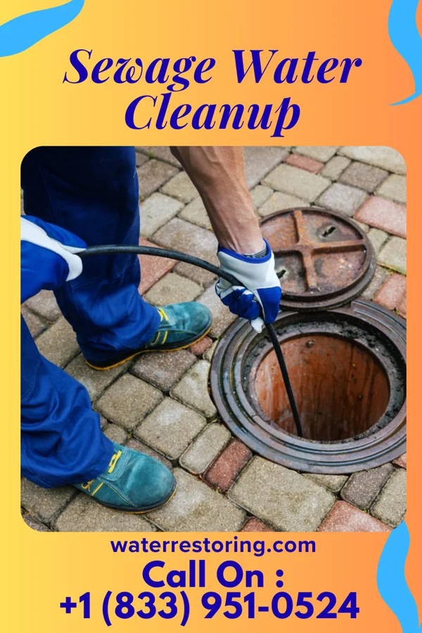 Sewage Water Cleanup in Plano, IL