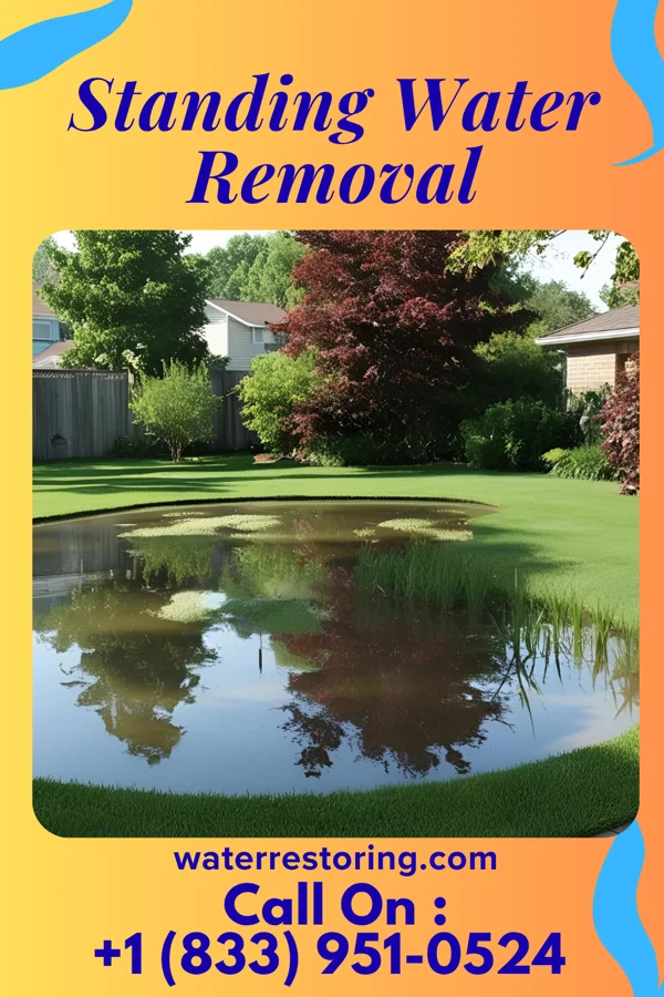 Standing Water Removal in Plano, IL